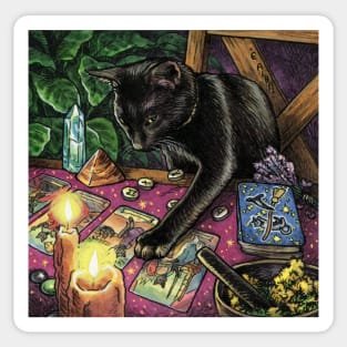 Black Cat Reading Tarot Sticker